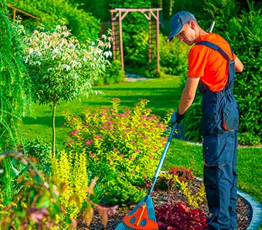 Landscape Maintenance